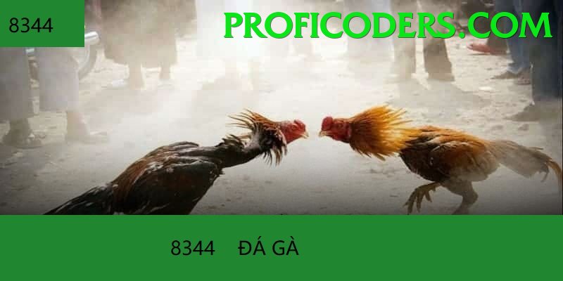 Đá Gà Trực Tiếp - sut88