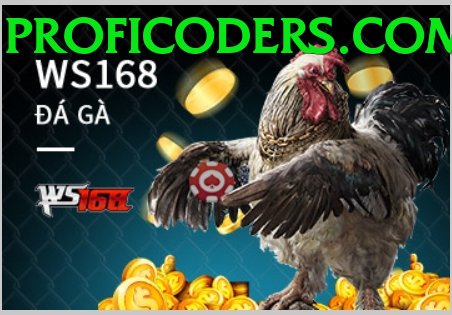 Đá Gà Trực Tiếp - Ưu đãi đặc biệt